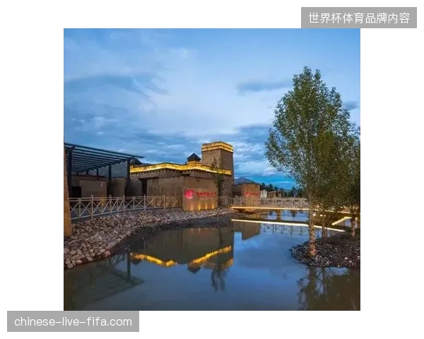 世界杯配套城市消费节高额投入：为何部分赞助权益陷入资源闲置泥潭